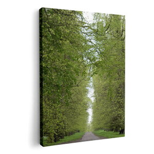 A[gpl G G  IׂTCY 210×297 mm A4 _  ʐ^ tHg CeA  006601 ʐ^@X@A