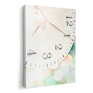 A[gpl G G  IׂTCY 210×297 mm A4 _  ʐ^ tHg CeA  006979 v@Jt