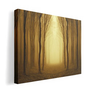 A[gpl G G  IׂTCY 210×297 mm A4 _  ʐ^ tHg CeA  007665 ʐ^@؁@A@X