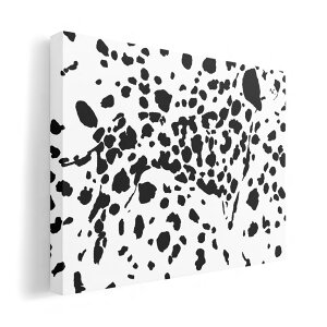 A[gpl G G  IׂTCY 210×297 mm A4 _  ʐ^ tHg CeA  007798 @@ʁ@