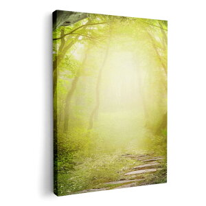 A[gpl G G  IׂTCY 210×297 mm A4 _  ʐ^ tHg CeA  007948 X@i@CXg@΁@O[@A