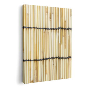 A[gpl G G  IׂTCY 210×297 mm A4 _  ʐ^ tHg CeA  008341 ʐ^@@͗l