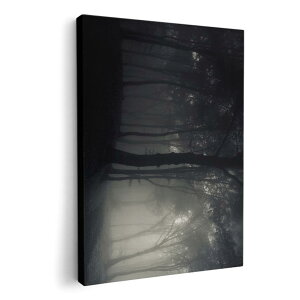 A[gpl G G  IׂTCY 210×297 mm A4 _  ʐ^ tHg CeA  008571 ʐ^@X@@