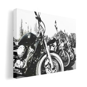 A[gpl G G  IׂTCY 210×297 mm A4 _  ʐ^ tHg CeA  008687 ʐ^@oCN@mN@