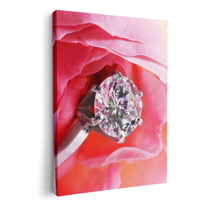 A[gpl G G  IׂTCY 210×297 mm A4 _  ʐ^ tHg CeA  008706 ʐ^@ԁ@t[@wց@_C