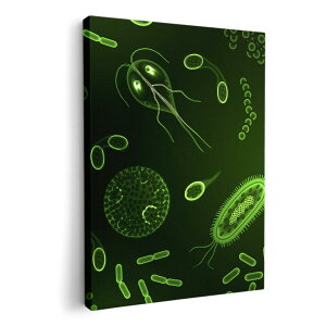 A[gpl G G  IׂTCY 210×297 mm A4 _  ʐ^ tHg CeA  008781 ΁@O[@