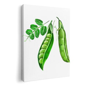 A[gpl G G  IׂTCY 210×297 mm A4 _  ʐ^ tHg CeA  008858 CXg@}@O[@