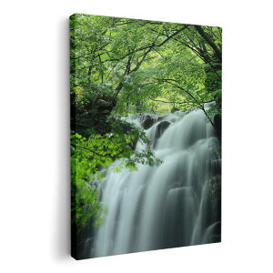 A[gpl G G  IׂTCY 210×297 mm A4 _  ʐ^ tHg CeA  008874 ʐ^@@X