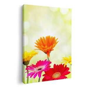 A[gpl G G  IׂTCY 210×297 mm A4 _  ʐ^ tHg CeA  008881 Jt@ʐ^@ԁ@t[