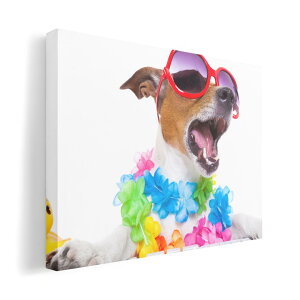 A[gpl G G  IׂTCY 210×297 mm A4 _  ʐ^ tHg CeA  008914 ʐ^@Jt@@