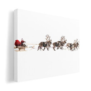 A[gpl G G  IׂTCY 210×297 mm A4 _  ʐ^ tHg CeA  009501 NX}X@T^@ʐ^