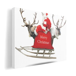 A[gpl G G  IׂTCY 210×297 mm A4 _  ʐ^ tHg CeA  009971 NX}X@T^@ʐ^