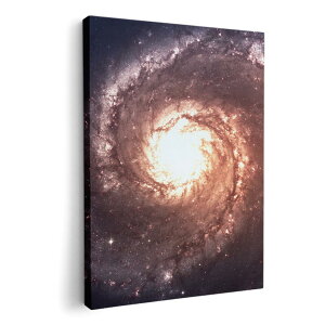 A[gpl G G  IׂTCY 210×297 mm A4 _  ʐ^ tHg CeA  010185 @F@i