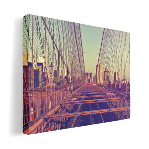 A[gpl G G  IׂTCY 210×297 mm A4 _  ʐ^ tHg CeA  010767 i@ʐ^@iF