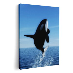 A[gpl G G  IׂTCY 210×297 mm A4 _  ʐ^ tHg CeA  010806 V`@@C