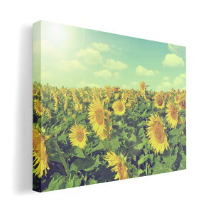 A[gpl G G  IׂTCY 210×297 mm A4 _  ʐ^ tHg CeA  011053 ԁ@Ђ܂@