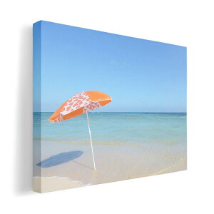 A[gpl G G  IׂTCY 210×297 mm A4 _  ʐ^ tHg CeA  011235 C@r[`@][g