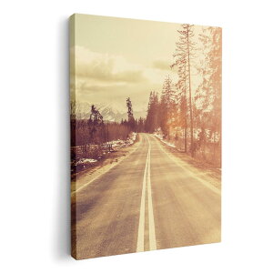 A[gpl G G  IׂTCY 210×297 mm A4 _  ʐ^ tHg CeA  011287 ʐ^@i@