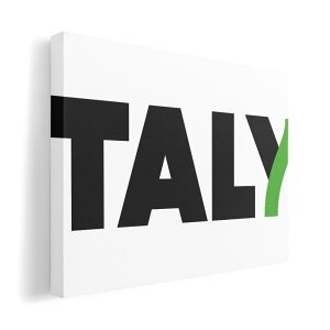 A[gpl G G  IׂTCY 210×297 mm A4 _  ʐ^ tHg CeA  011666 C^A@O@