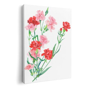 A[gpl G G  IׂTCY 210×297 mm A4 _  ʐ^ tHg CeA  012920 ̓@J[l[V@