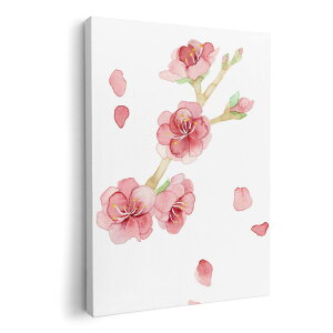 A[gpl G G  IׂTCY 210×297 mm A4 _  ʐ^ tHg CeA  012987 ԁ@؁@