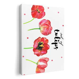 A[gpl G G  IׂTCY 210×297 mm A4 _  ʐ^ tHg CeA  013586 ԁ@ʁ@hbg