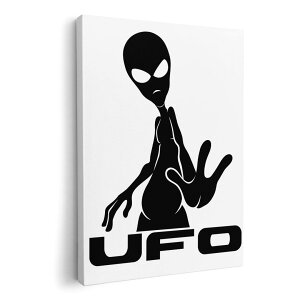 �A�[�g�p�l�� �G �G�� ���� �I�ׂ�T�C�Y 210×297 mm A4 ���_�� ���� �ʐ^ �t�H�g �C���e���A ������� 013624 �F���l�@UFO�@�G�C���A��