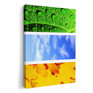 A[gpl G G  IׂTCY 210×297 mm A4 _  ʐ^ tHg CeA  014084 ā@Ђ܂@