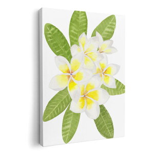 A[gpl G G  IׂTCY 210×297 mm A4 _  ʐ^ tHg CeA  014086 ԁ@t[@F