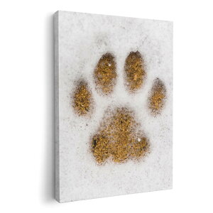 A[gpl G G  IׂTCY 210×297 mm A4 _  ʐ^ tHg CeA  014113 @