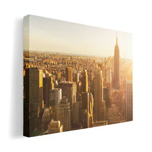 A[gpl G G  IׂTCY 210×297 mm A4 _  ʐ^ tHg CeA  014737 i@iF@ʐ^