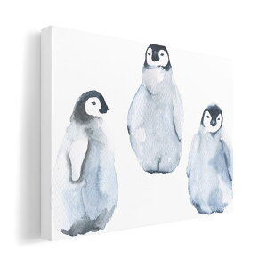 A[gpl G G  IׂTCY 210×297 mm A4 _  ʐ^ tHg CeA  014775 yM@킢@