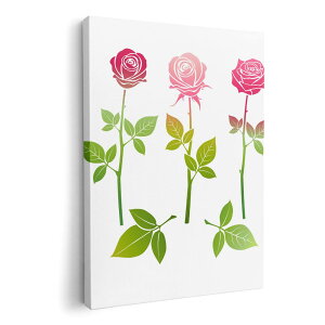 A[gpl G G  IׂTCY 210×297 mm A4 _  ʐ^ tHg CeA  015302 o@ԁ@sN@A