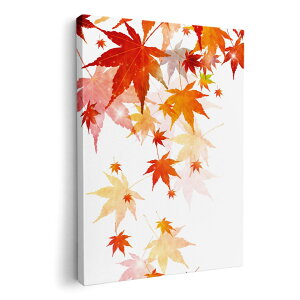 A[gpl G G  IׂTCY 210×297 mm A4 _  ʐ^ tHg CeA  015654 a@gt@a