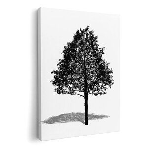 A[gpl G G  IׂTCY 210×297 mm A4 _  ʐ^ tHg CeA  015665 ؁@؁@R@A@mN