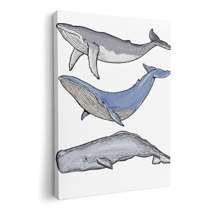 A[gpl G G  IׂTCY 210×297 mm A4 _  ʐ^ tHg CeA  015851 @@C