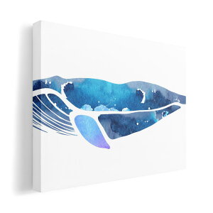 A[gpl G G  IׂTCY 210×297 mm A4 _  ʐ^ tHg CeA  015860 @C@