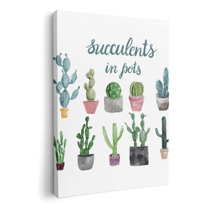 A[gpl G G  IׂTCY 210×297 mm A4 _  ʐ^ tHg CeA  015908 T{e@A