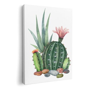 A[gpl G G  IׂTCY 210×297 mm A4 _  ʐ^ tHg CeA  015950 T{e@A