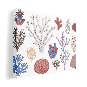 A[gpl G G  IׂTCY 210×297 mm A4 _  ʐ^ tHg CeA  016119 X@C