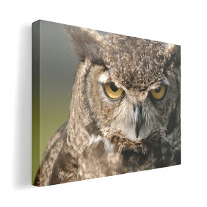 A[gpl G G  IׂTCY 210×297 mm A4 _  ʐ^ tHg CeA  016308 tNE@ʐ^