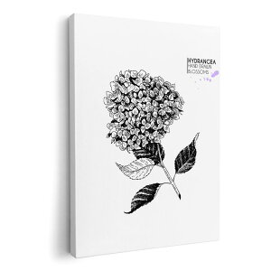 A[gpl G G  IׂTCY 210×297 mm A4 _  ʐ^ tHg CeA  016330 P@~J@mN