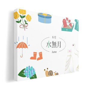 A[gpl G G  IׂTCY 210×297 mm A4 _  ʐ^ tHg CeA  016337 @~J@