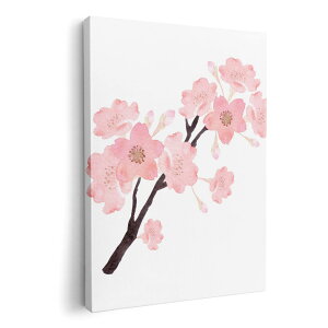 A[gpl G G  IׂTCY 210×297 mm A4 _  ʐ^ tHg CeA  016455 @A