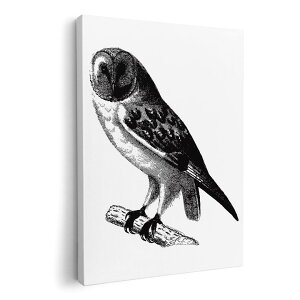 A[gpl G G  IׂTCY 210×297 mm A4 _  ʐ^ tHg CeA  017479 A@tNE@