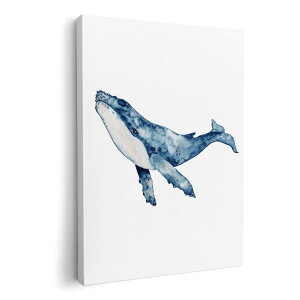 A[gpl G G  IׂTCY 210×297 mm A4 _  ʐ^ tHg CeA  017506 @~@C