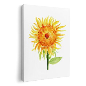 A[gpl G G  IׂTCY 210×297 mm A4 _  ʐ^ tHg CeA  017807 Ђ܂@ā@Tt[