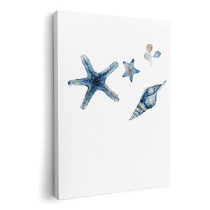 A[gpl G G  IׂTCY 210×297 mm A4 _  ʐ^ tHg CeA  017850 Underwater@qgf@Lk@C̒