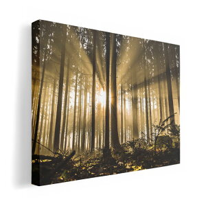 A[gpl G G  IׂTCY 210×297 mm A4 _  ʐ^ tHg CeA  018321 X ʐ^