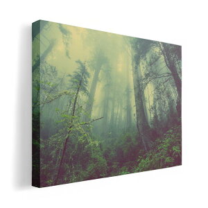 A[gpl G G  IׂTCY 210×297 mm A4 _  ʐ^ tHg CeA  018322 X ʐ^